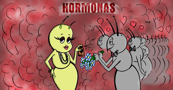 LAS HORMONAS SOCIALES DE LOS INSECTOS
