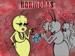 LAS HORMONAS SOCIALES DE LOS INSECTOS