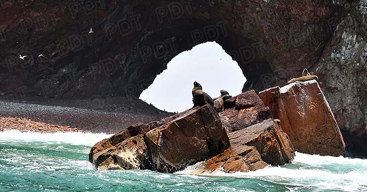 VIAJE A PARACAS-PERÚ: UNA MARAVILLA PARA CONOCER