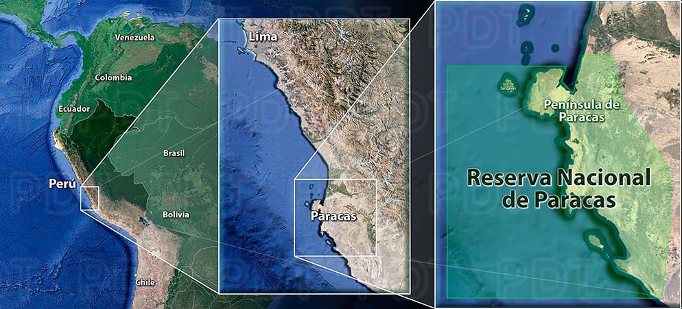 VIAJE A PARACAS-PERÚ: UNA MARAVILLA PARA CONOCER