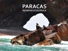 VIAJE A PARACAS-PERÚ: UNA MARAVILLA PARA CONOCER