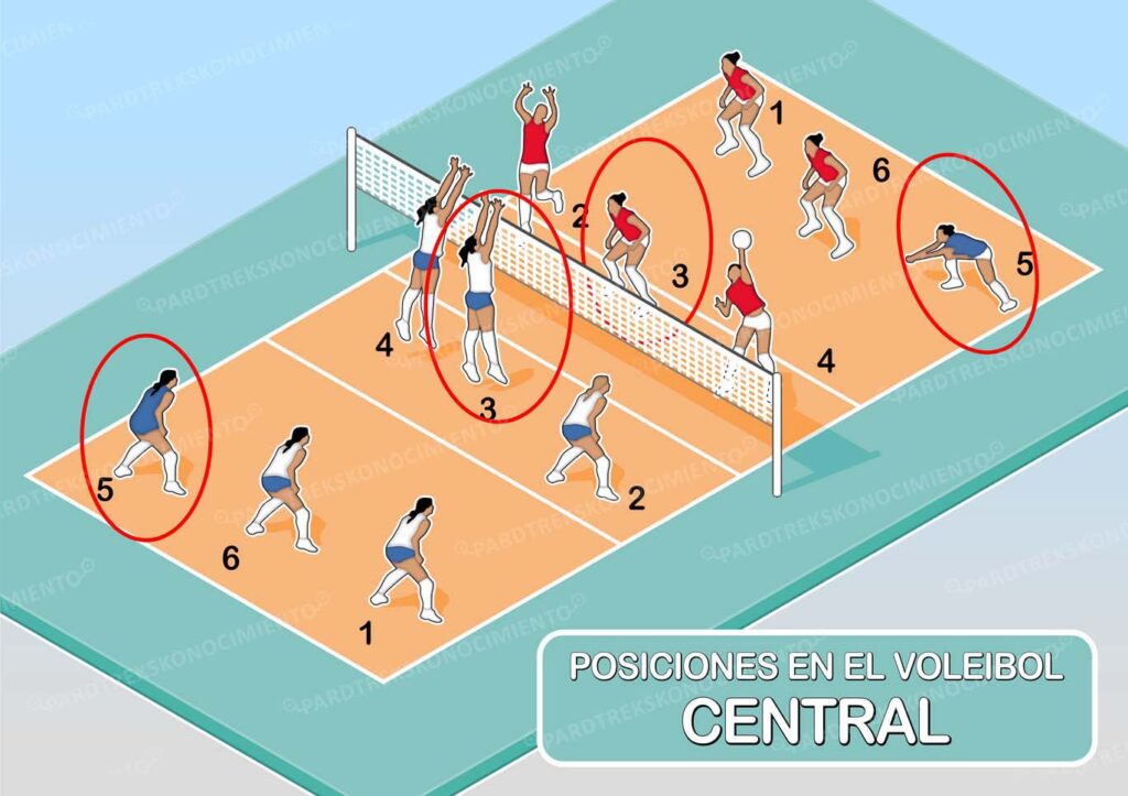 POSICIONES DE LOS JUGADORES Y ROTACIONES DEL VOLEIBOL