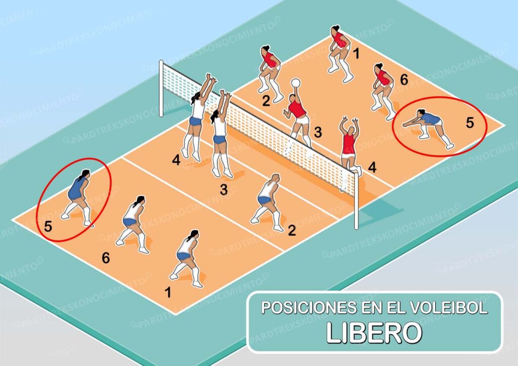 POSICIONES DE LOS JUGADORES Y ROTACIONES DEL VOLEIBOL