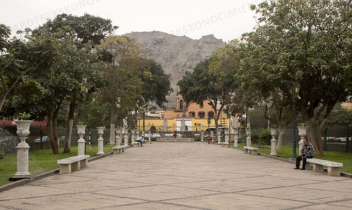 UN BREVE PASEO POR LA ALAMEDA DE LOS DESCALZOS