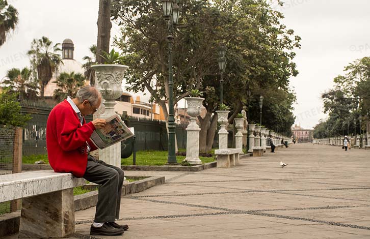 UN BREVE PASEO POR LA ALAMEDA DE LOS DESCALZOS