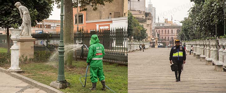 UN BREVE PASEO POR LA ALAMEDA DE LOS DESCALZOS