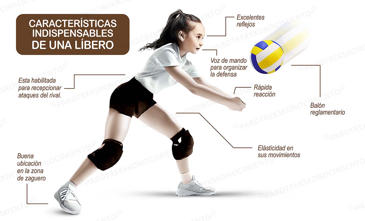 EL VOLEIBOL TIENE SU LÍBERO PEQUEÑO E IMPORTANTE